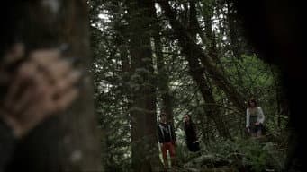 A Floresta de Lovecraft