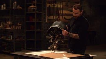 Episódio 14