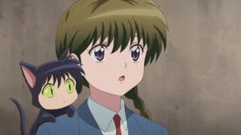Gato Preto Oboro