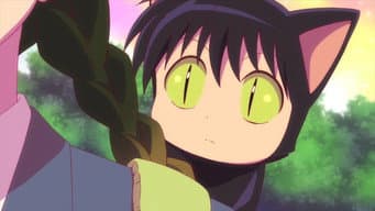A Aposta de Sakura