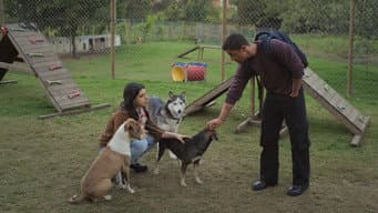 Episódio 26