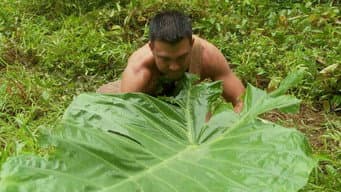 Encharcados e Pelados