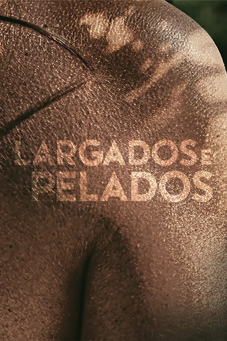 Temporada 6