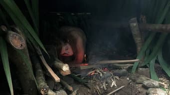 Episódio 11