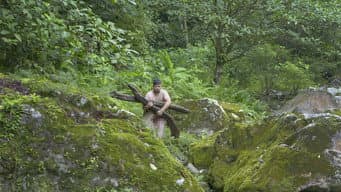 Episódio 17