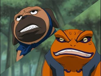 O Manual do Ninja Naruto!