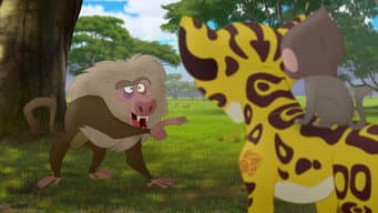 Babuínos