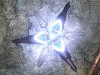 Episódio 6