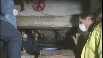 Episódio 8