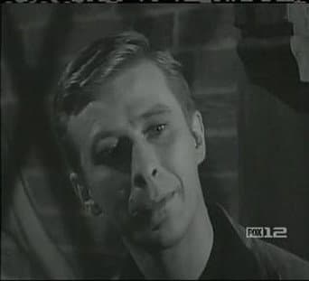 Episódio 29
