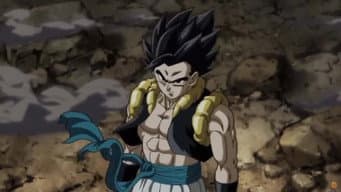 O super confronto! Gogeta vs. Hearts!