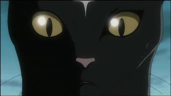 Episódio 50