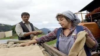Episódio 8