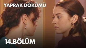 Episódio 14
