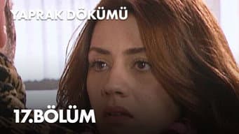 Episódio 17