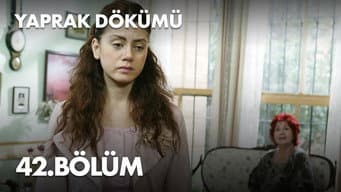 Episódio 42