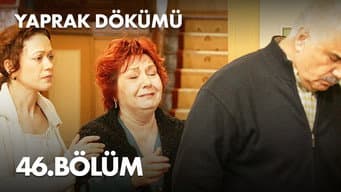 Episódio 46