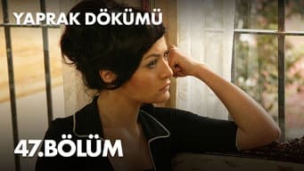 Episódio 47