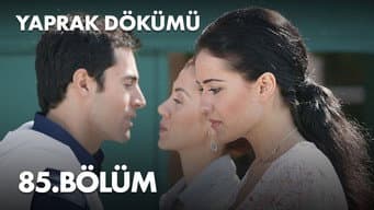 Episódio 85