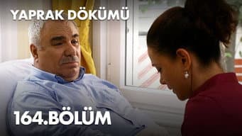 Episódio 164