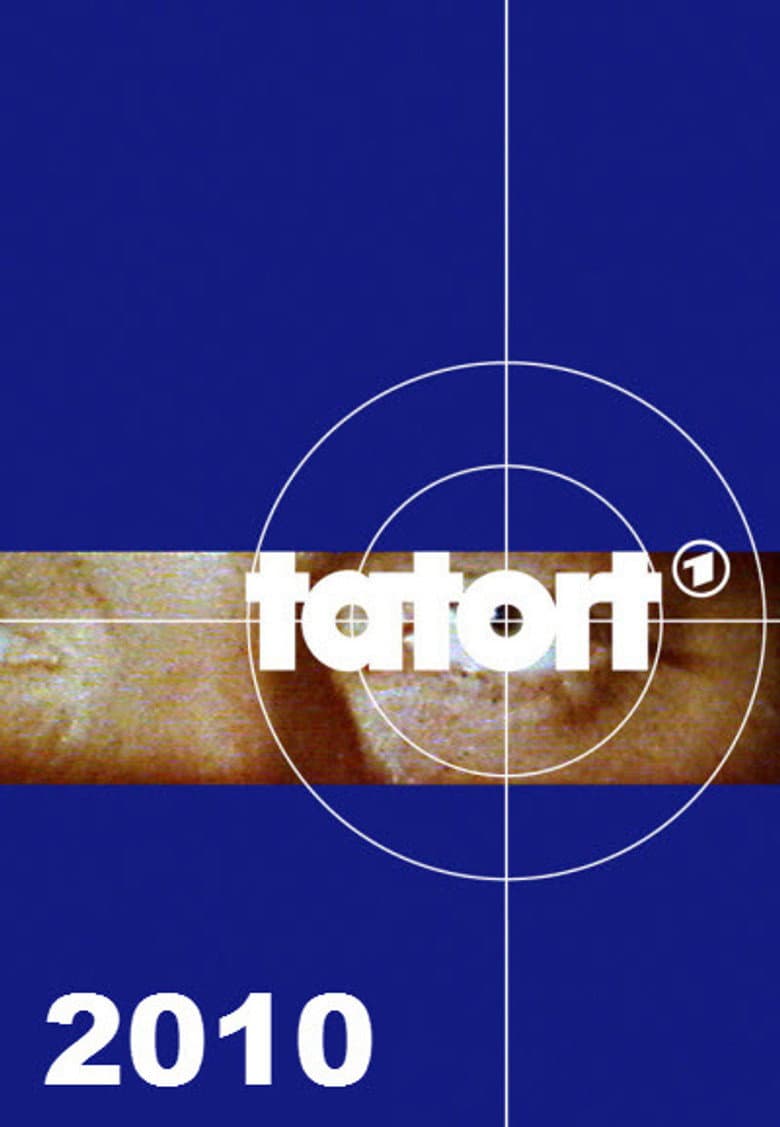 Temporada 41