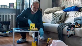 Episódio 35