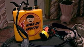 Vida de Inseto