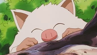 Primeape Endoidece