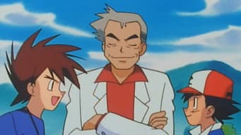 Batalha no Curral Pokémon