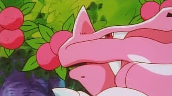 Tudo Rosa!
