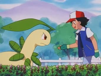 Reconquistando Bayleef!