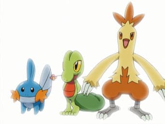 Cadê meu Torchic?
