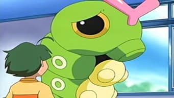 O Grande Dilema de Caterpie