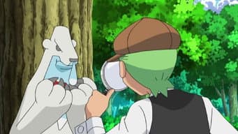 O Mistério do Cubchoo Desaparecido!