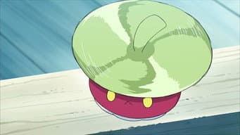 A Primeira Captura em Alola, no Estilo Ketchum!