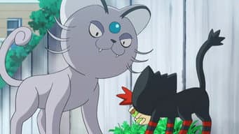 É Por Isso que Litten é um Rebelde!