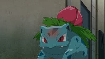 A Torre Misteriosa de Ivysaur!