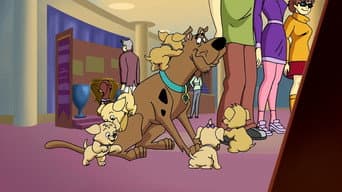 Cachorro De Casa