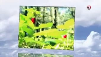 Episódio 7