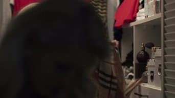 Episódio 14