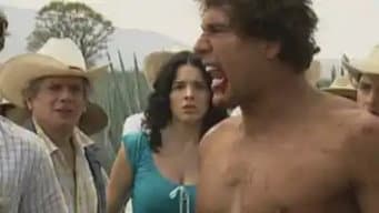 Episódio 39