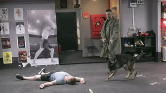 Episódio 7