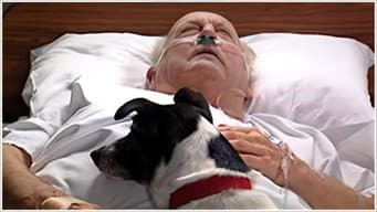 Episódio 23