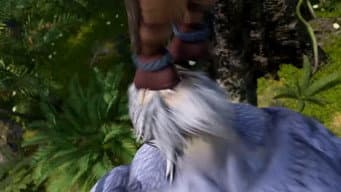Episódio 31