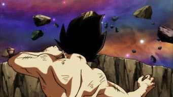 Orgulho Honrado! A Queda de Vegeta!!
