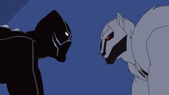 A Pantera e o Lobo