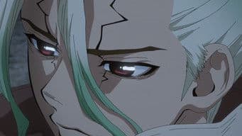 Our Dr. Stone