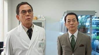 Episódio 7