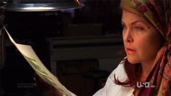 Episódio 13