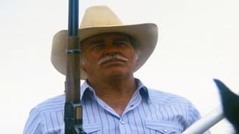 Episódio 8